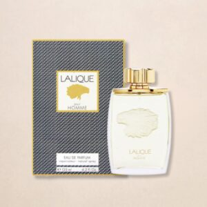 pour home lancom (3)