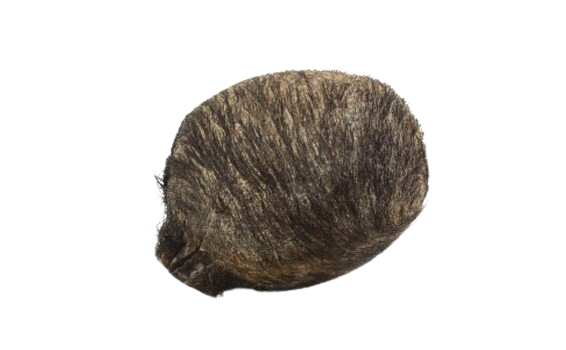 مشک
