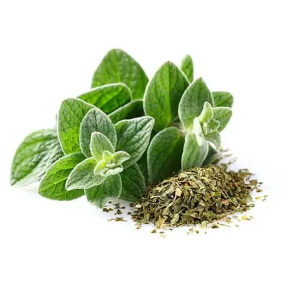 پونه کوهی