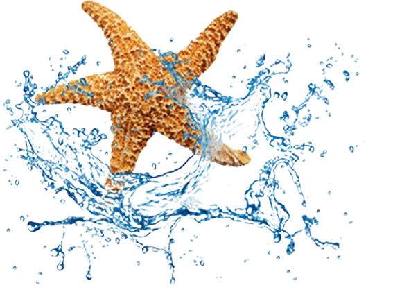 نت های دریایی