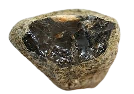 چوب عنبر