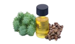 روغن کرچک