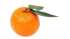 نارنگی ماندارین