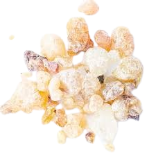 صمغ کندر
