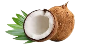 نارگیل