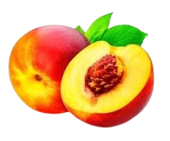 شلیل