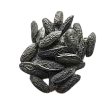 دانه تونکا