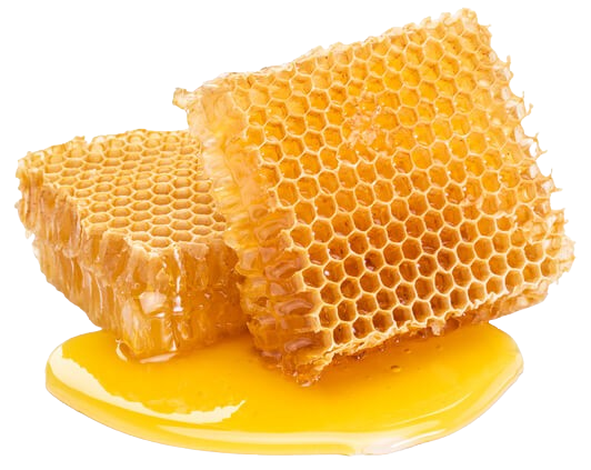 موم عسل